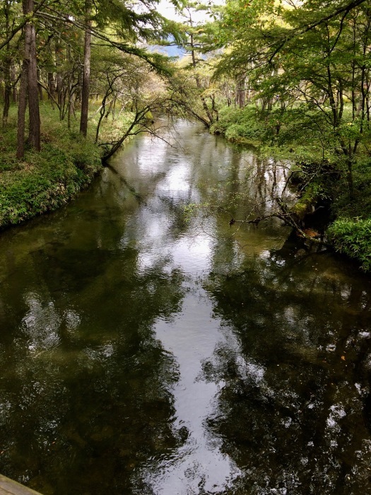 c0114110_08011624.jpg