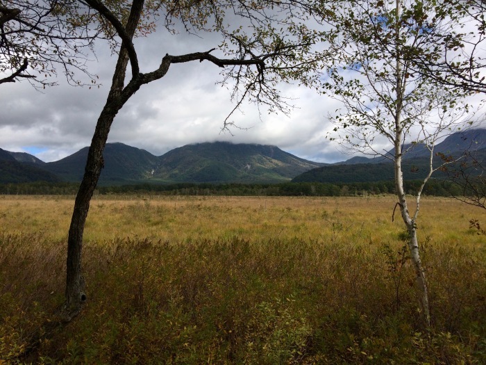 c0114110_08015425.jpg