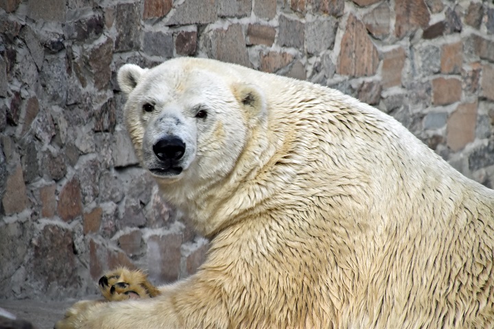 a0151913_2114440.jpg