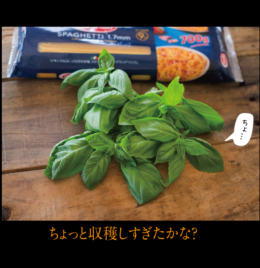 a0358016_11424100.jpg