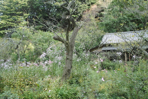 b0285619_17530707.jpg