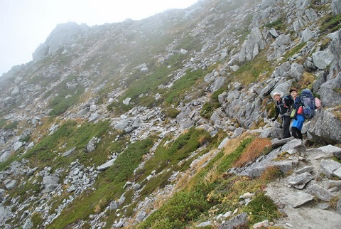 f0000521_520686.jpg