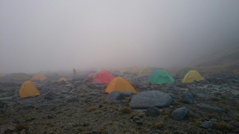 f0000521_5234826.jpg
