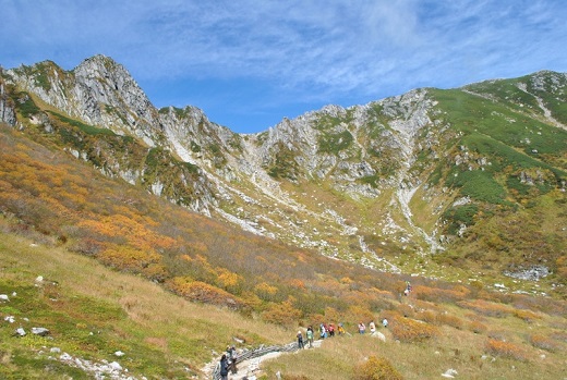 f0000521_611288.jpg