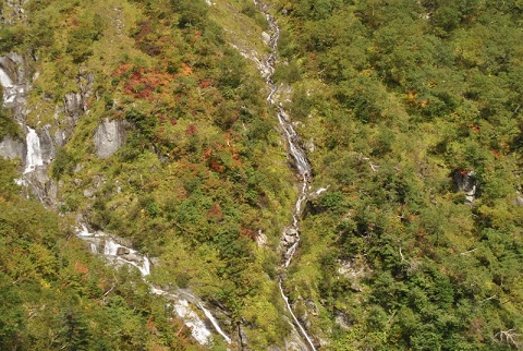 f0000521_632034.jpg