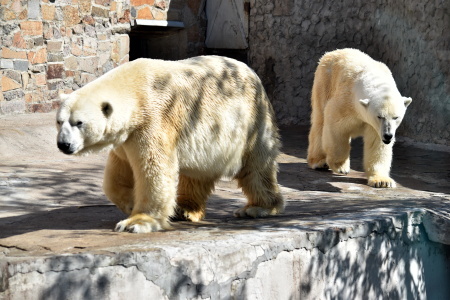 f0344626_01570250.jpg