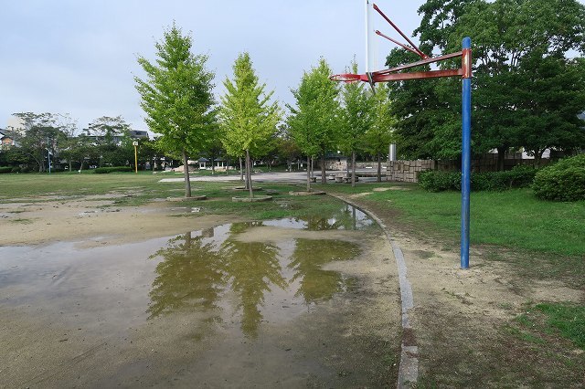 a0242438_19370848.jpg