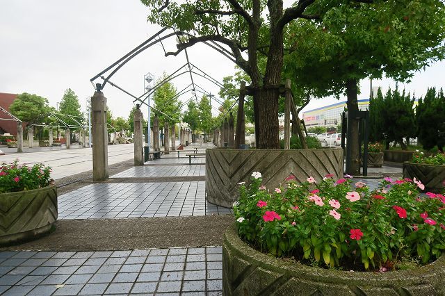 a0242438_19370868.jpg