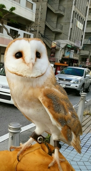 a0266139_08210004.jpg
