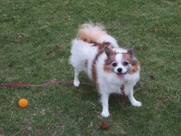 a0149240_20071167.jpg