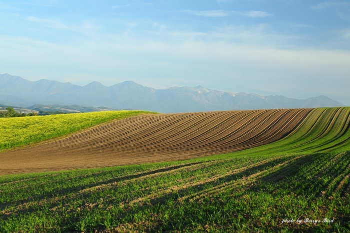 e0173743_10103094.jpg