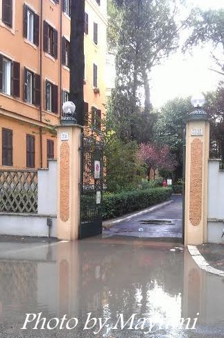 c0206352_18495370.jpg
