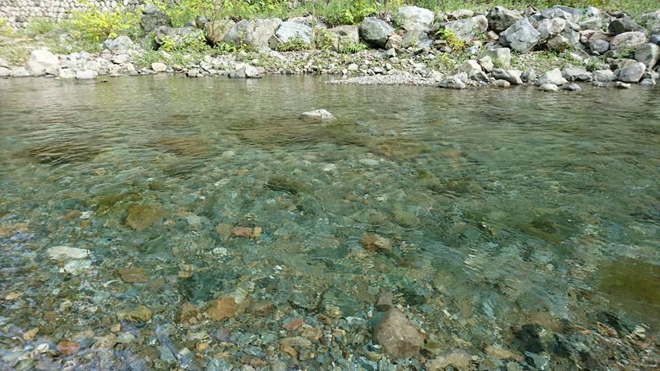 c0214359_2325324.jpg