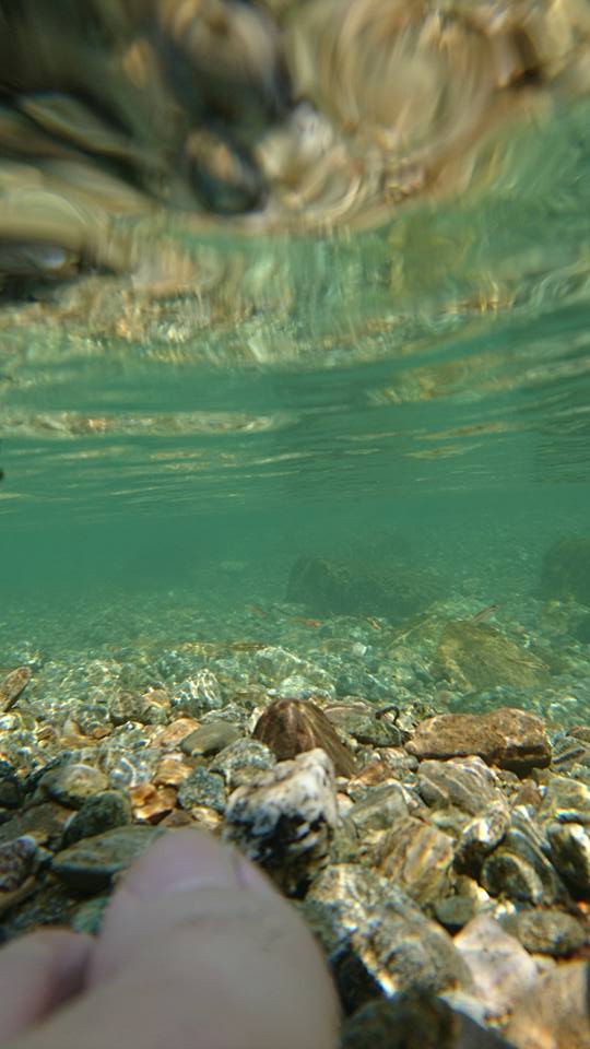 c0214359_23323988.jpg