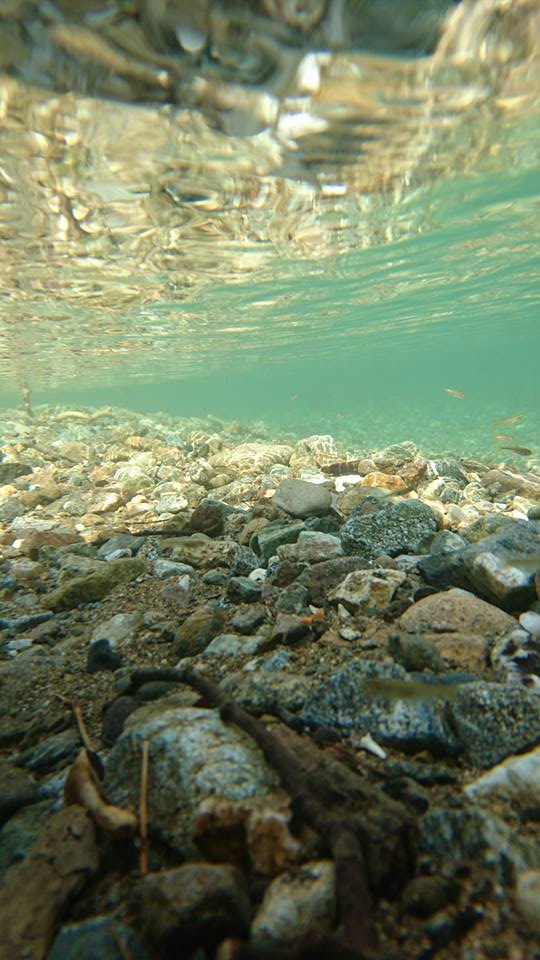 c0214359_23345621.jpg