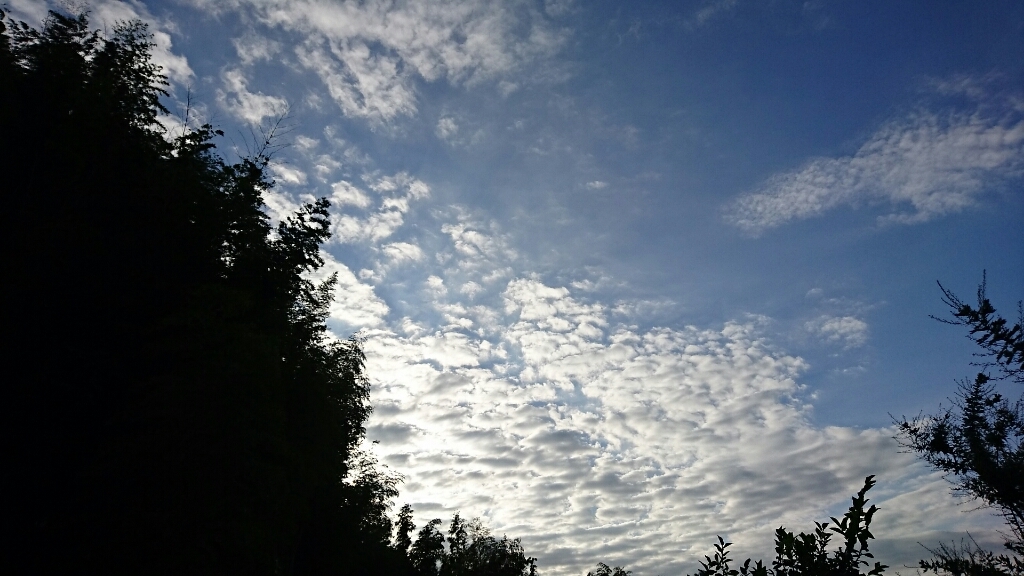 f0222164_10182121.jpg
