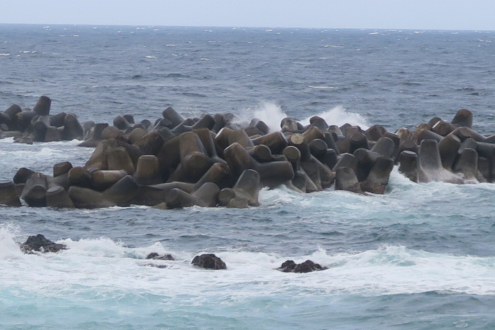 e0292172_2045171.jpg