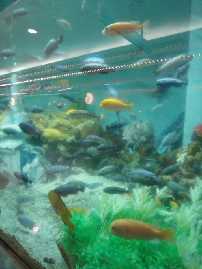 f0238779_813123.jpg