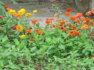 e0130185_12351228.jpg