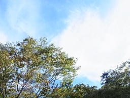 e0155085_1547846.jpg