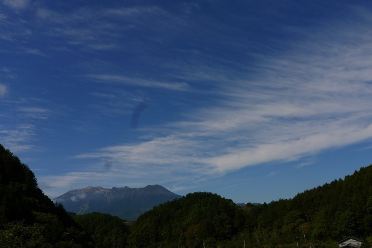 a0130586_1802967.jpg