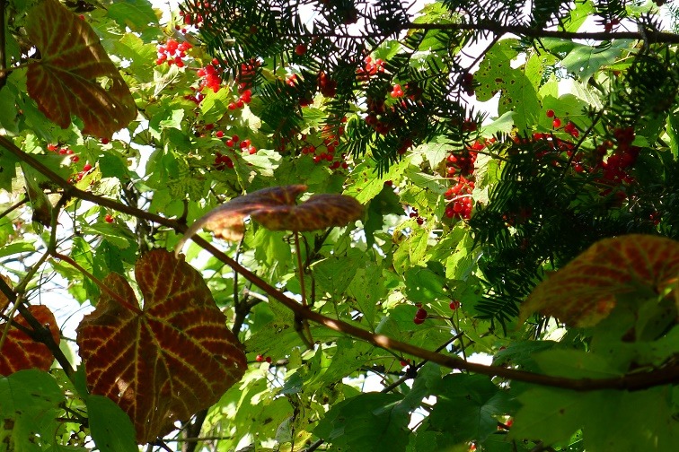 a0130586_1918462.jpg