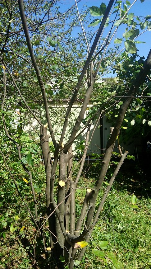 b0091187_23504791.jpg