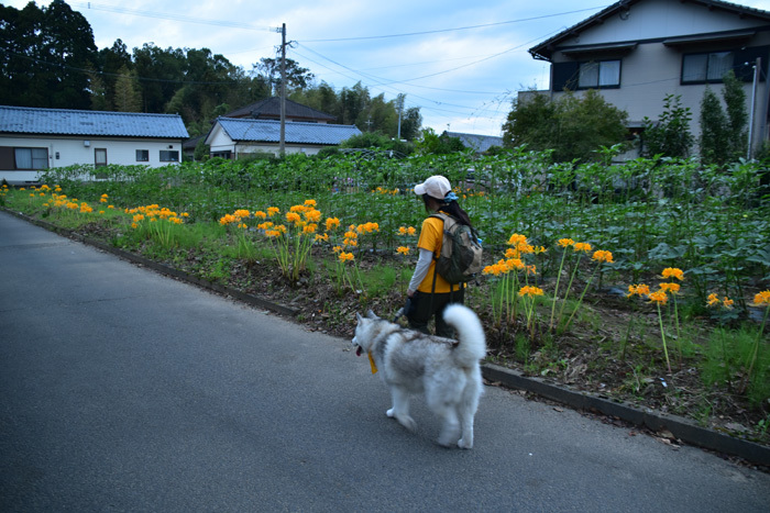 c0049299_21332327.jpg