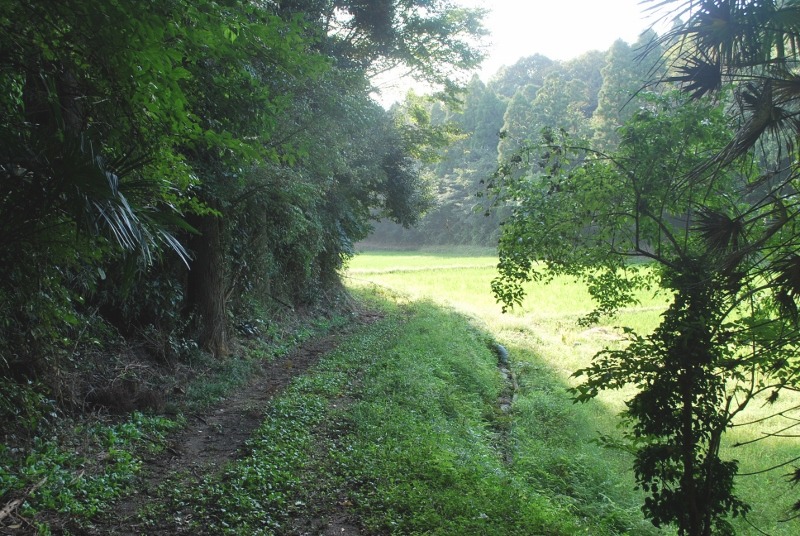 e0025300_1450577.jpg
