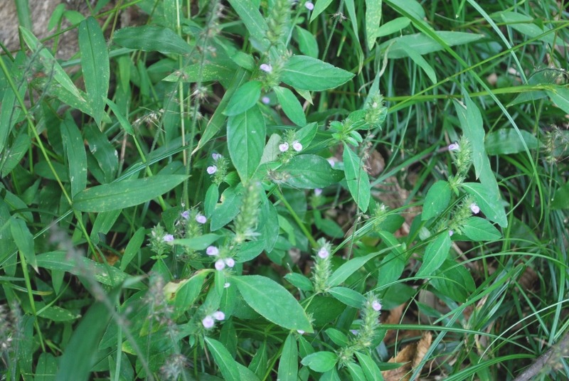 e0025300_14595682.jpg