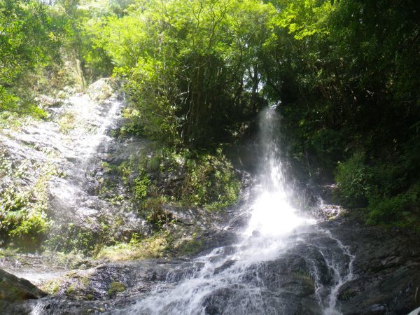 d0006512_13522199.jpg
