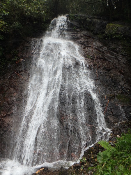 d0198313_23315494.jpg