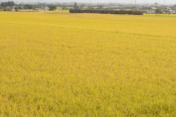 e0005714_23422348.jpg