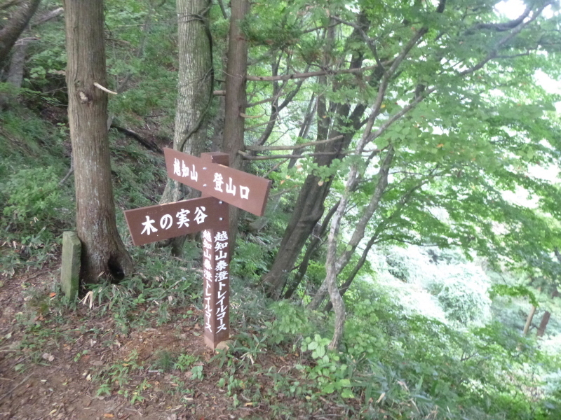 d0170615_19364992.jpg