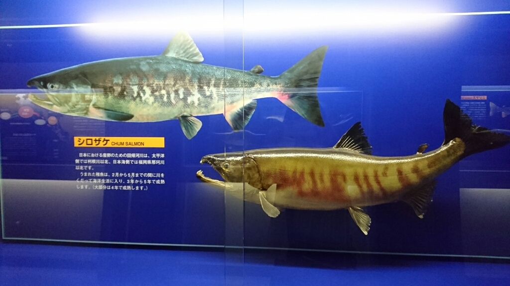 f0182618_09493221.jpg