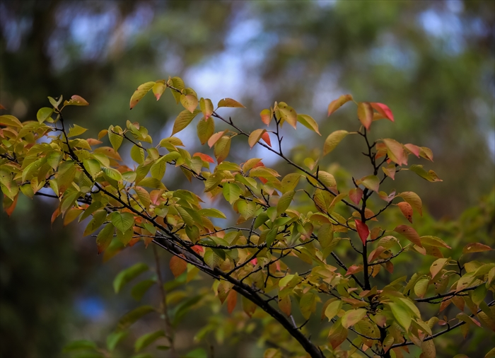 f0363618_181025.jpg