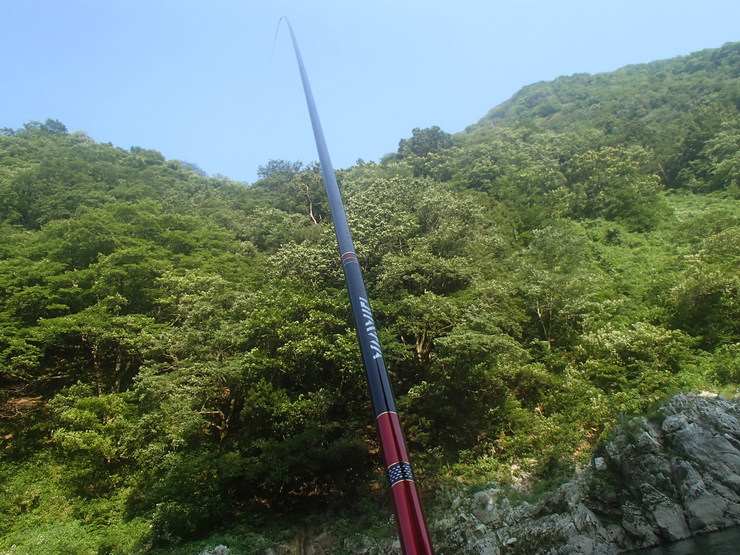 d0172227_12323118.jpg