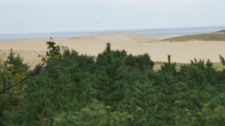 e0166734_20285800.jpg