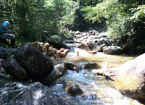 d0033336_18385576.jpg