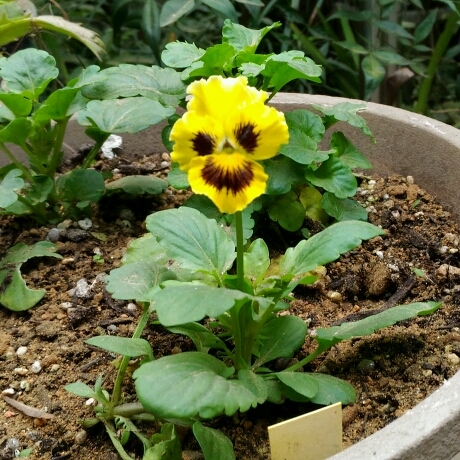 d0343540_12383895.jpg