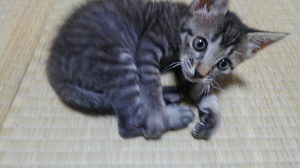 c0194042_16582821.jpg