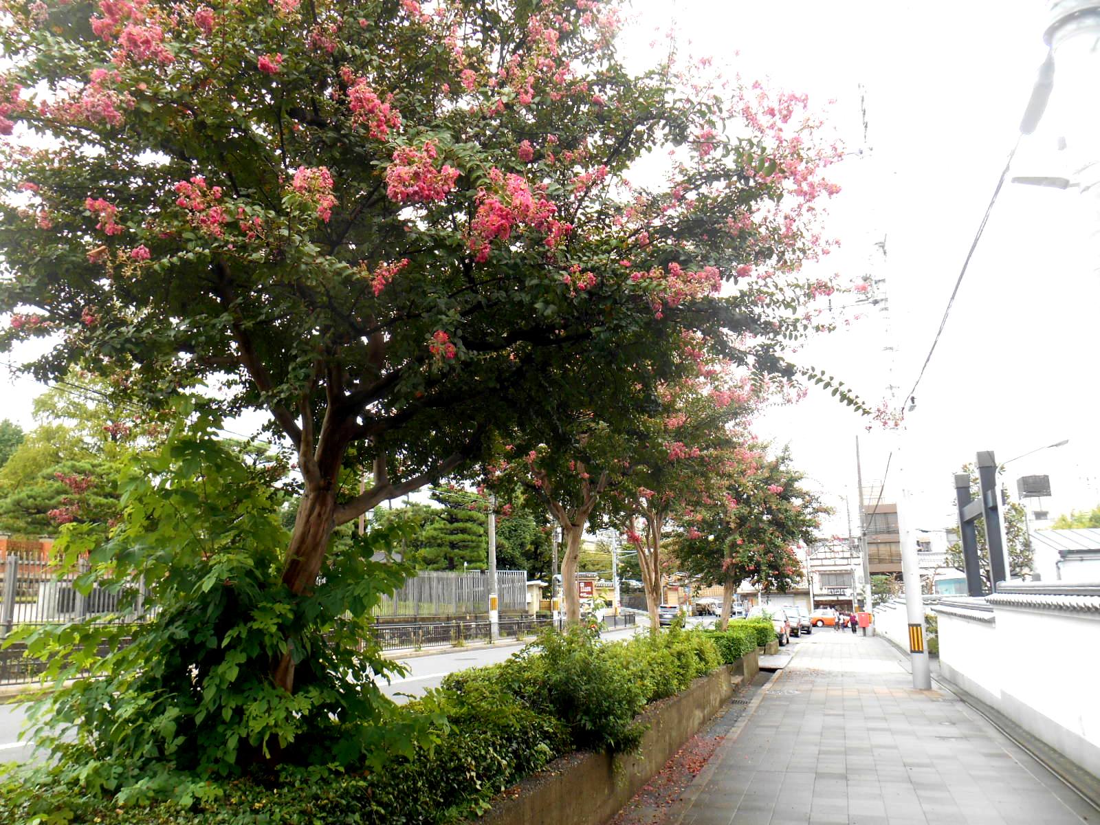 e0297347_14313690.jpg