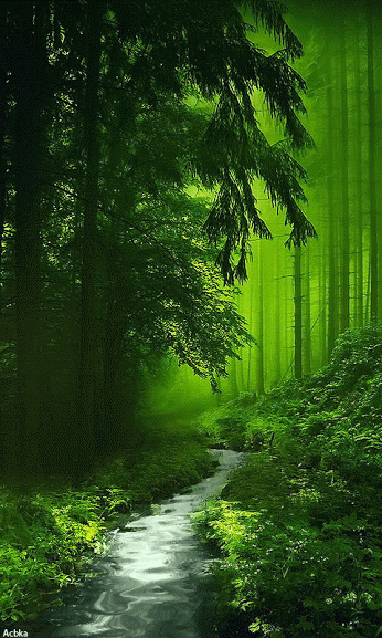 b0133752_2254825.gif