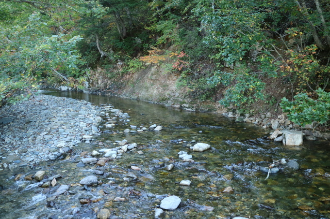 f0345263_21485940.jpg