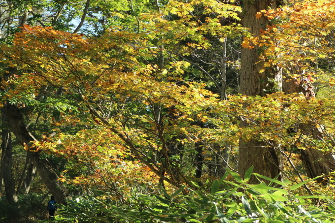 f0345263_21501470.jpg