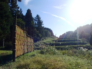 b0079965_06292395.jpg