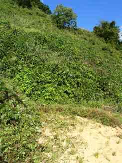 b0079965_06292419.jpg