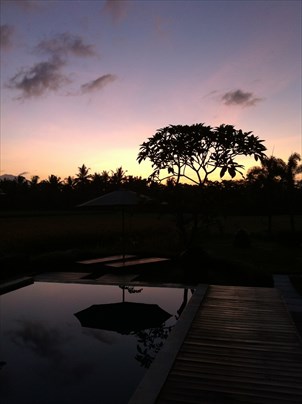 e0224979_2335389.jpg