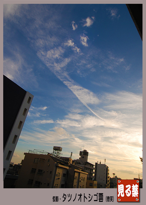 c0009981_17485781.jpg