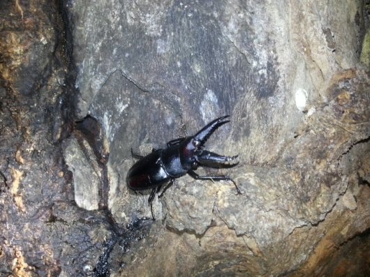 f0183484_16085421.jpg